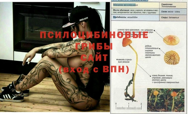 mdpv Касимов