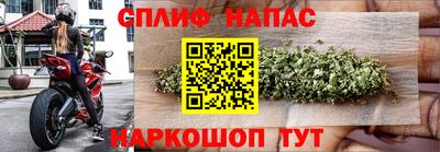 ГАЛЛЮЦИНОГЕННЫЕ ГРИБЫ Гагарин