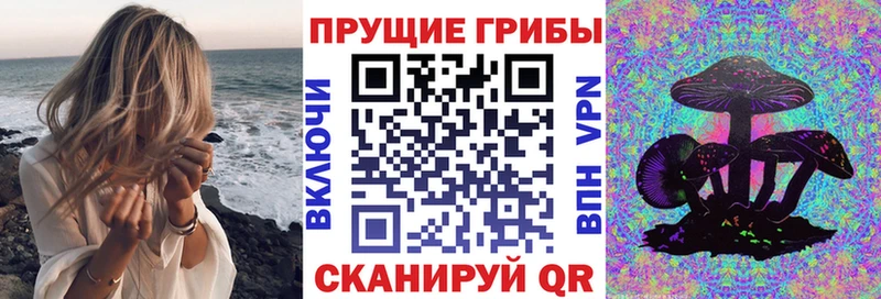 shop Telegram  что такое   Электросталь  Галлюциногенные грибы Magic Shrooms 